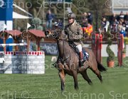 Coata Chika's Way TosTour2013- S5 2353 : Arezzo, Arezzo Equestrian Centre, Chika's Way, Coata Simone, Toscana Tour 2013, foto di Stefano Secchi ©